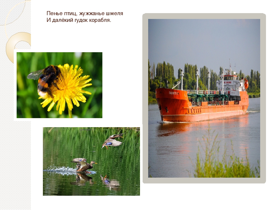 Творческий проект "Природа моего родного края"