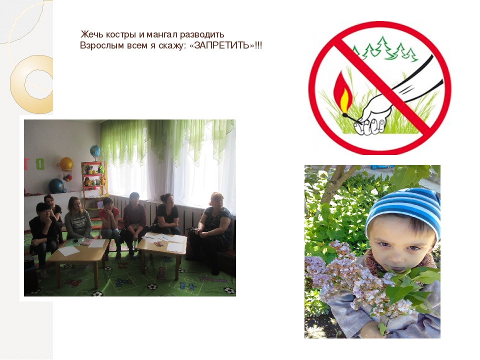 Творческий проект "Природа моего родного края"