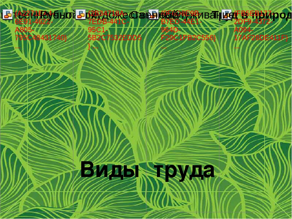"Организация труда детей в ДОУ в соответствии с ГОС ДО»