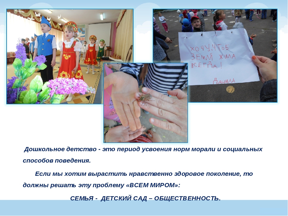 Педагогическая концепция на тему "Социально - нравственное становление старшего дошкольника"