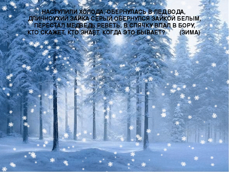 Презентация для детей дошкольного возраста "Путешествие по временам года"