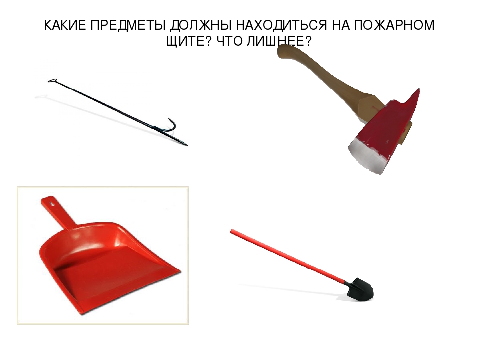 Презентация для детей дошкольного возраста "Что лишнее?" (дидактическая игра по ОБЖ)