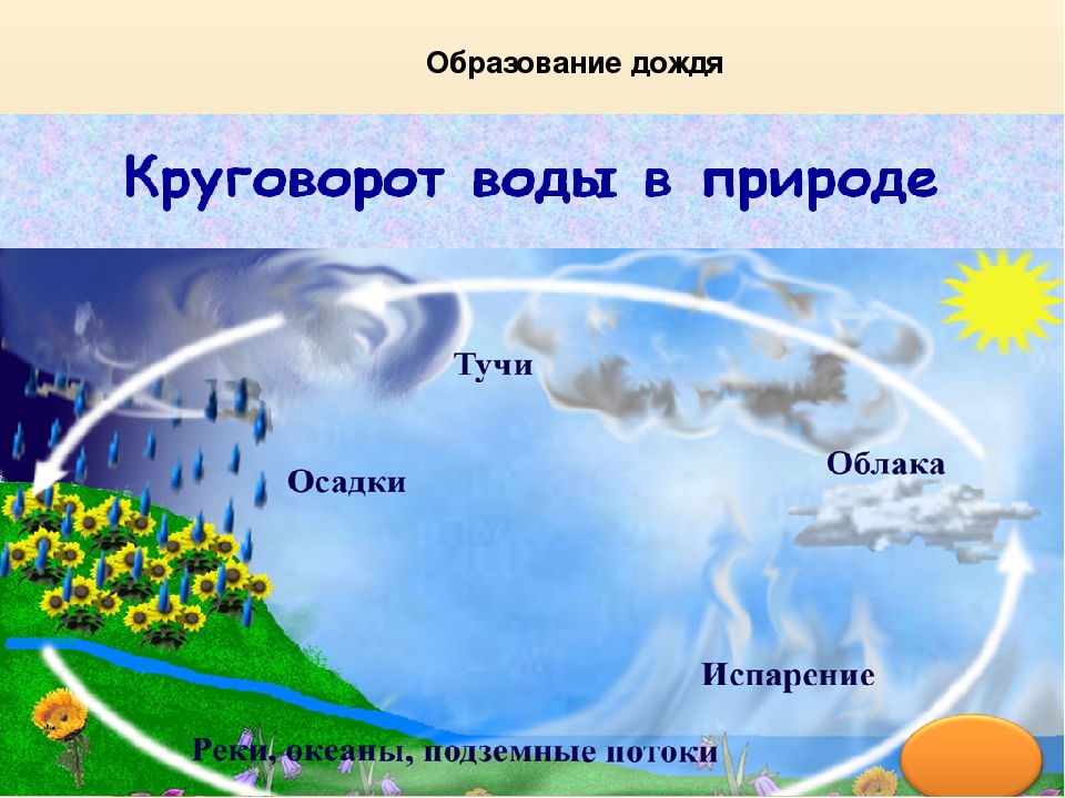 Презентация по окружающему миру ""Здравствуй, Лето!ч.2