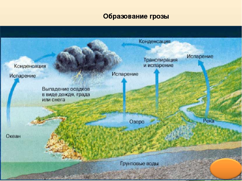 Презентация по окружающему миру ""Здравствуй, Лето!ч.2