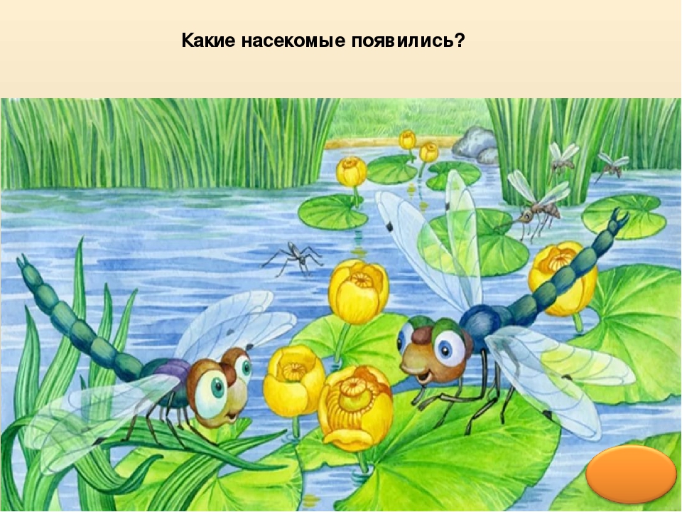 Презентация по окружающему миру ""Здравствуй, Лето!ч.2