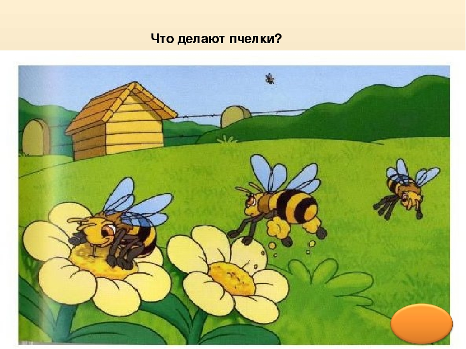 Презентация по окружающему миру ""Здравствуй, Лето!ч.2