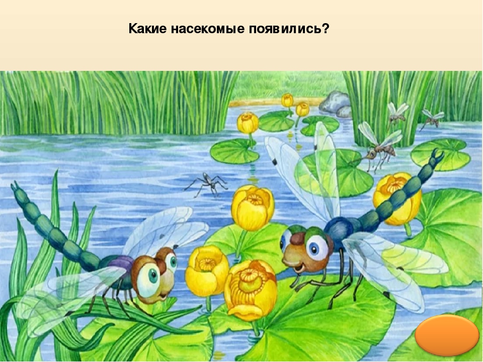 Презентация по окружающему миру ""Здравствуй, Лето!ч.2