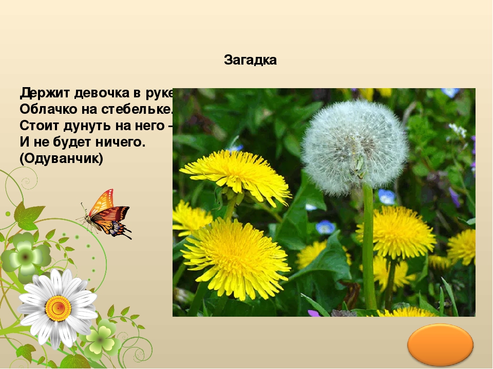 Презентация ""Здравствуй, Лето! ч.1