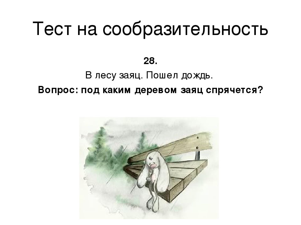 Тест на дождь. Пройти тесты на сообразительность. Под каким деревом прячется заяц во время дождя. Тест на сообразительность с ответами. Под каким деревом сидит заяц когда идет дождь.