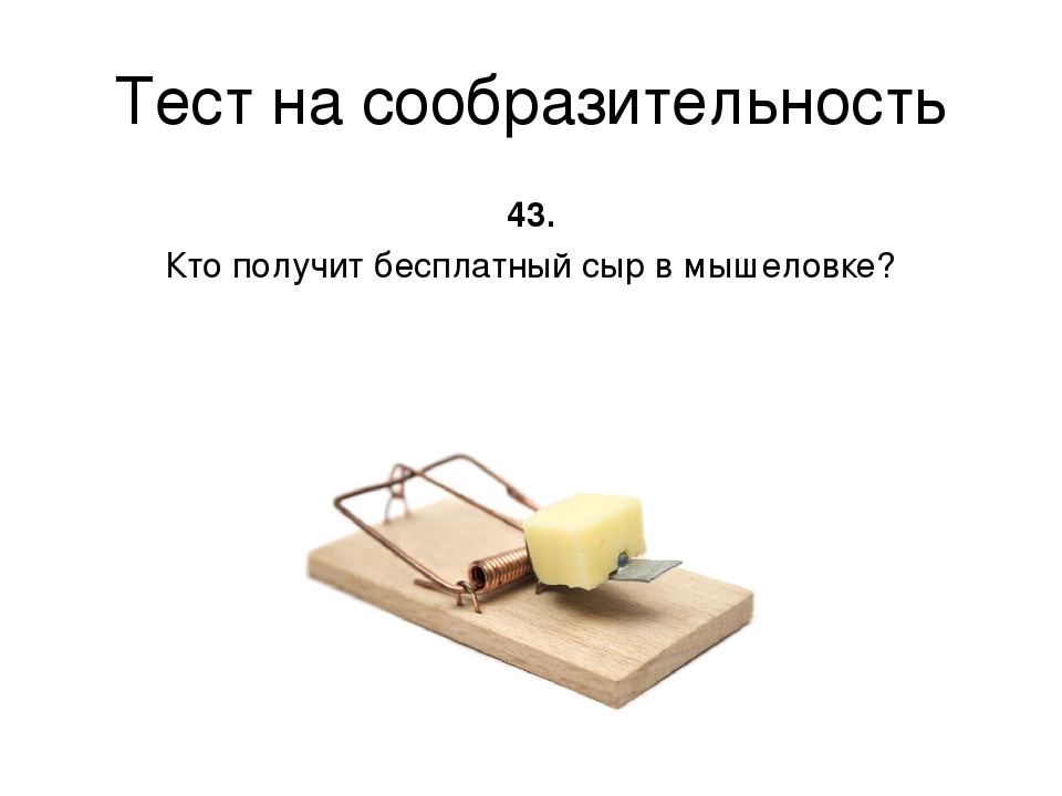 Кто может получить. Бесплатный сыр только в мышеловке. Бесплатный сыр. Кто получит бесплатный сыр в мышеловке.