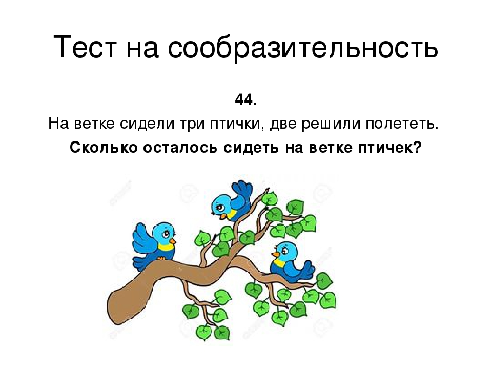 Сколько осталось сидеть. Тест на сообразительность. На ветке сидело 3 птицы 2 улетело сколько птиц осталось. Тест на сообразительность для детей. Сидит на ветке.