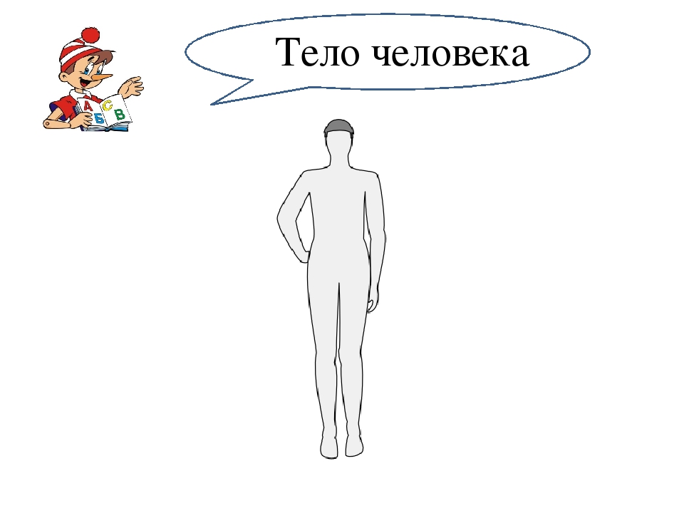 Занятие и презентация по подготовке к школе по теме"Части тела человека. Буква М,м. "