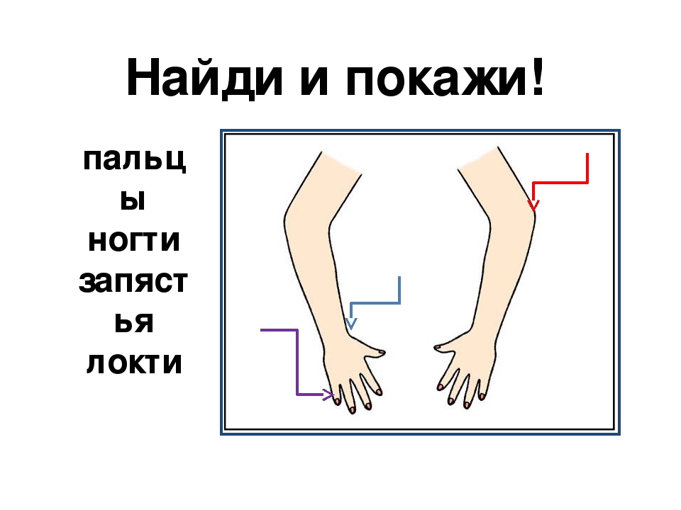 Занятие и презентация по подготовке к школе по теме"Части тела человека. Буква М,м. "