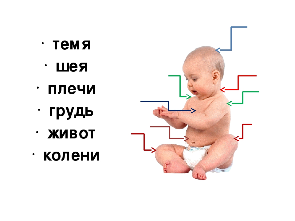 Занятие и презентация по подготовке к школе по теме"Части тела человека. Буква М,м. "