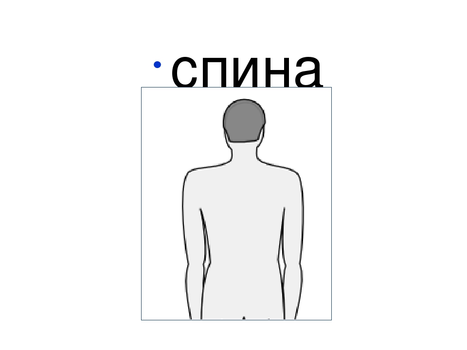 Занятие и презентация по подготовке к школе по теме"Части тела человека. Буква М,м. "
