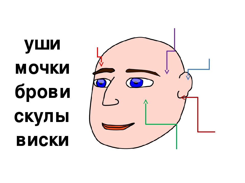 Занятие и презентация по подготовке к школе по теме"Части тела человека. Буква М,м. "