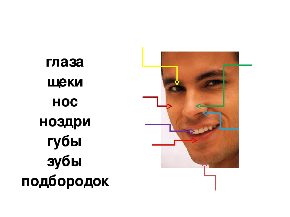 Занятие и презентация по подготовке к школе по теме"Части тела человека. Буква М,м. "