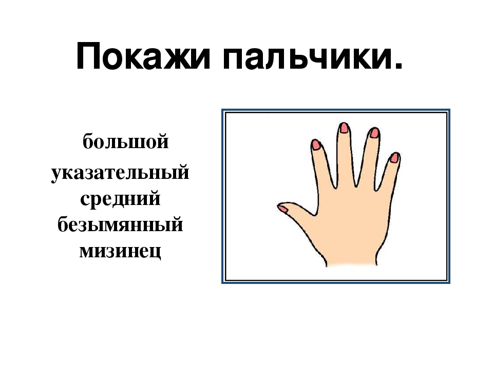 Занятие и презентация по подготовке к школе по теме"Части тела человека. Буква М,м. "