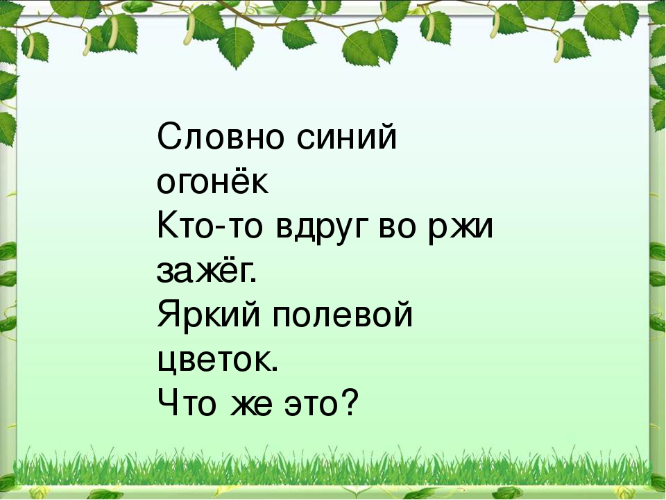 Презентация Праздник Иван Купала