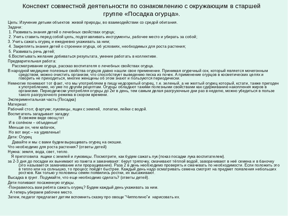 Презентация познавательно-исследовательской деятельности "Огород на окне"