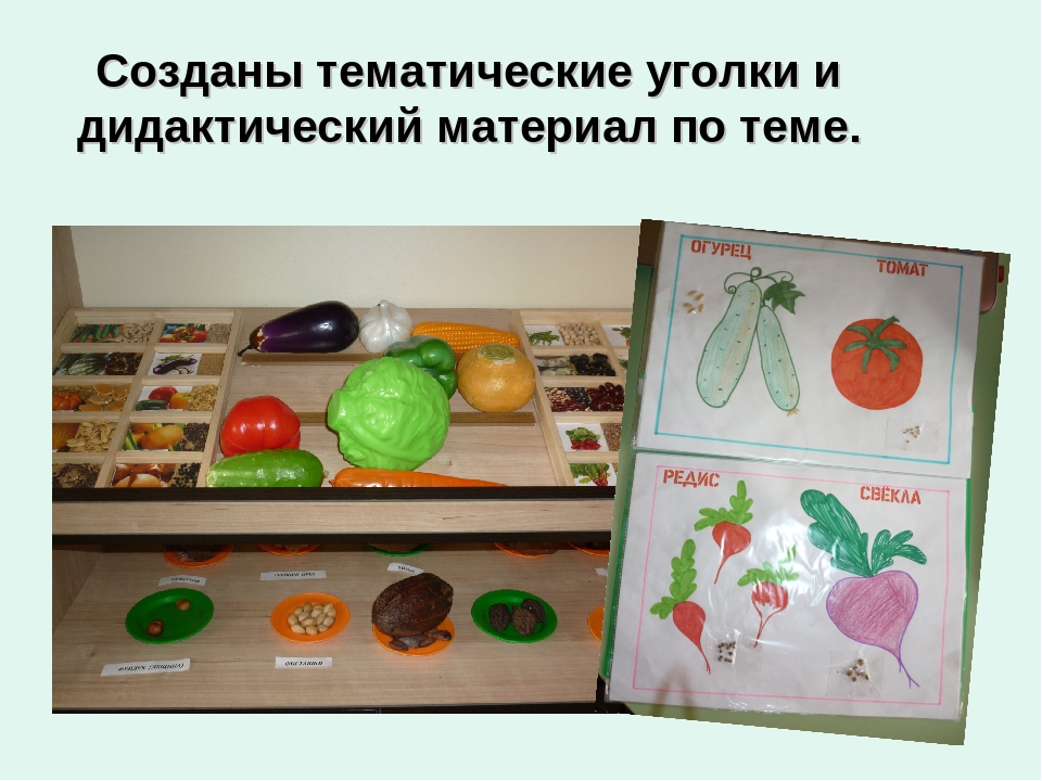 Презентация познавательно-исследовательской деятельности "Огород на окне"