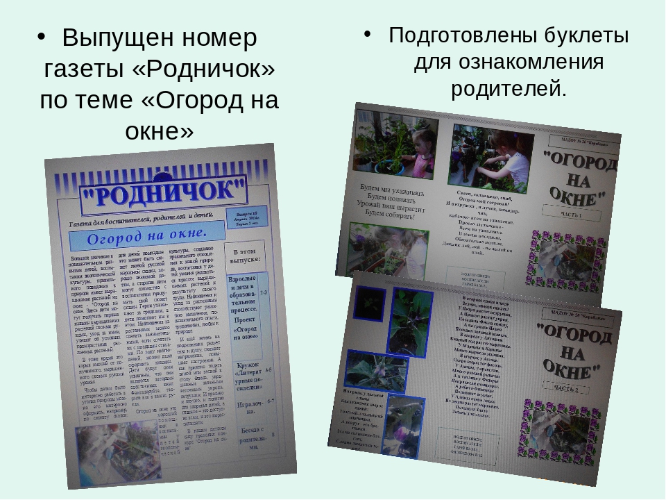Презентация познавательно-исследовательской деятельности "Огород на окне"