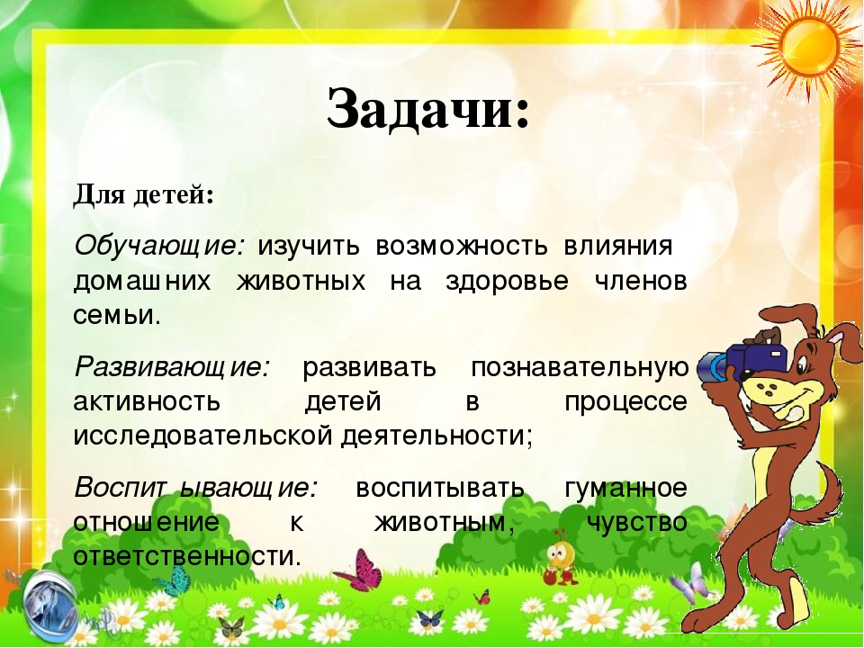 Презентация по экологии "Кот и пес спешат на помощь"