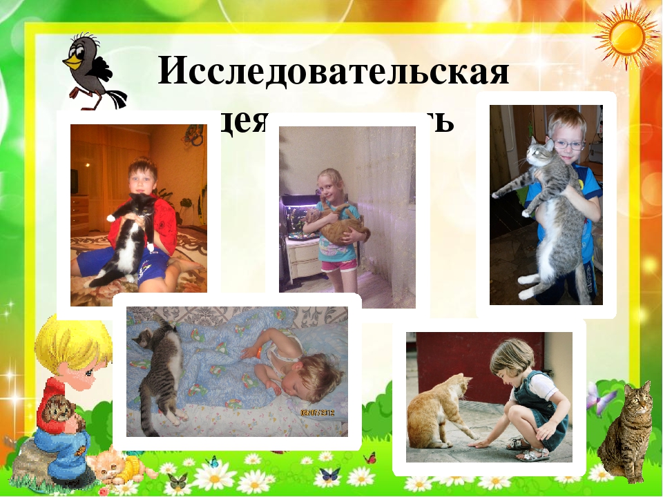 Презентация по экологии "Кот и пес спешат на помощь"