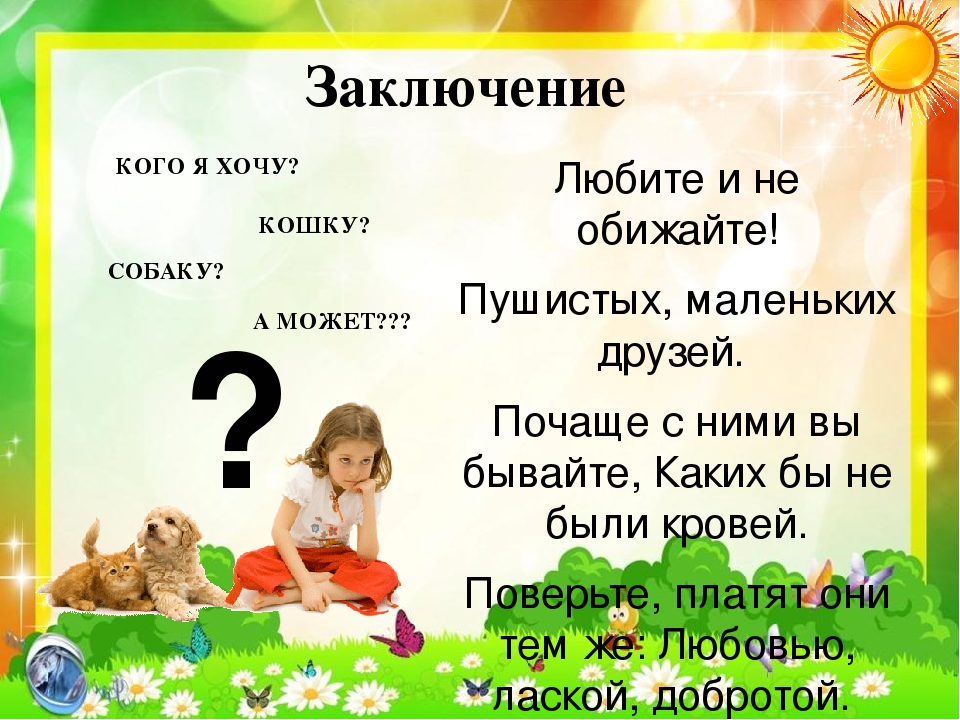 Презентация по экологии "Кот и пес спешат на помощь"