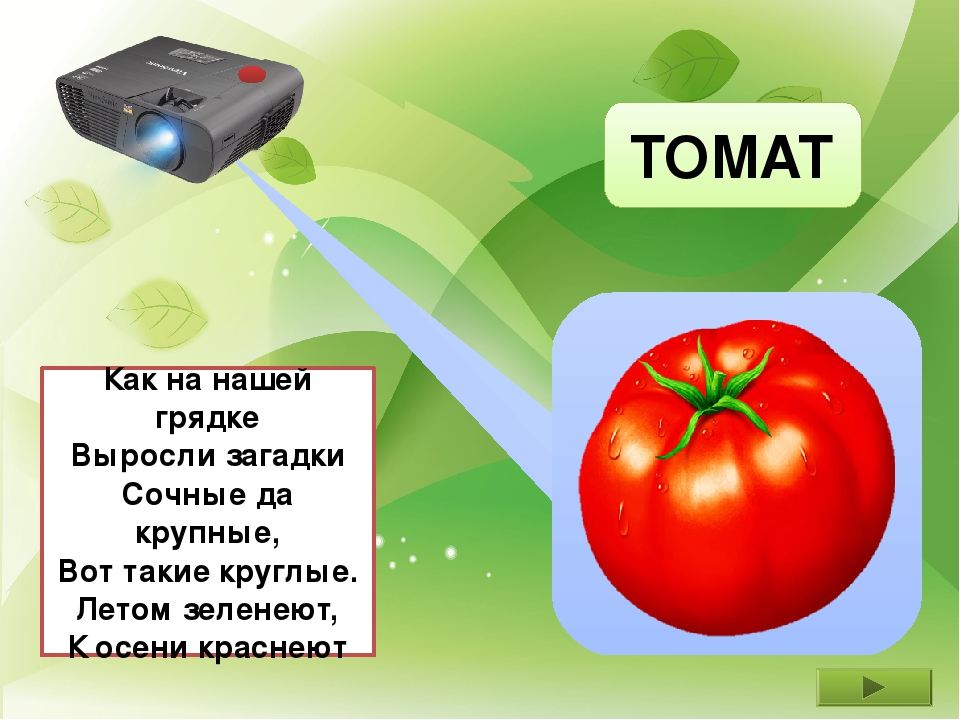 Презентация "Во саду ли в огороде"