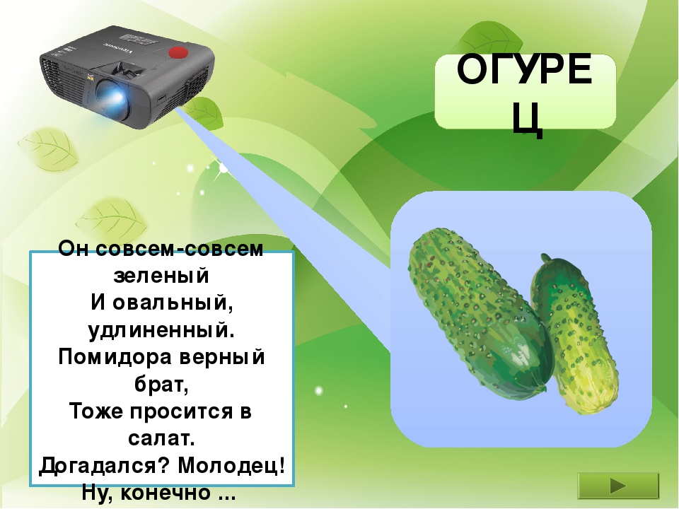 Презентация "Во саду ли в огороде"