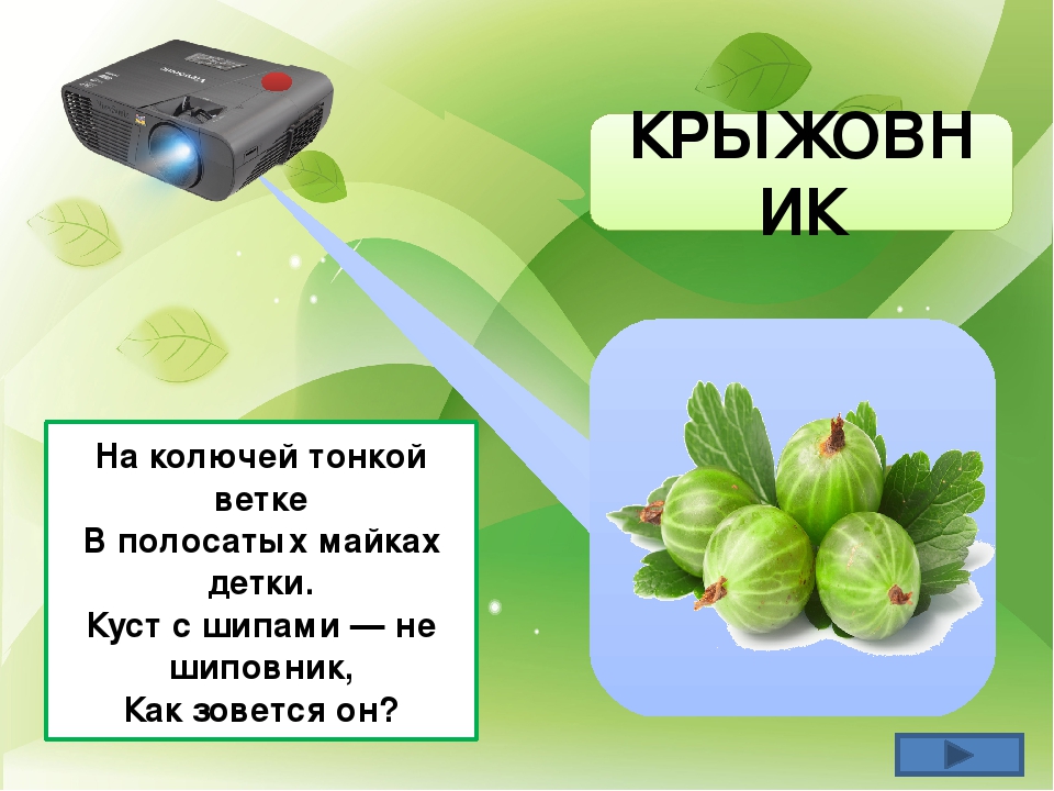Презентация "Во саду ли в огороде"