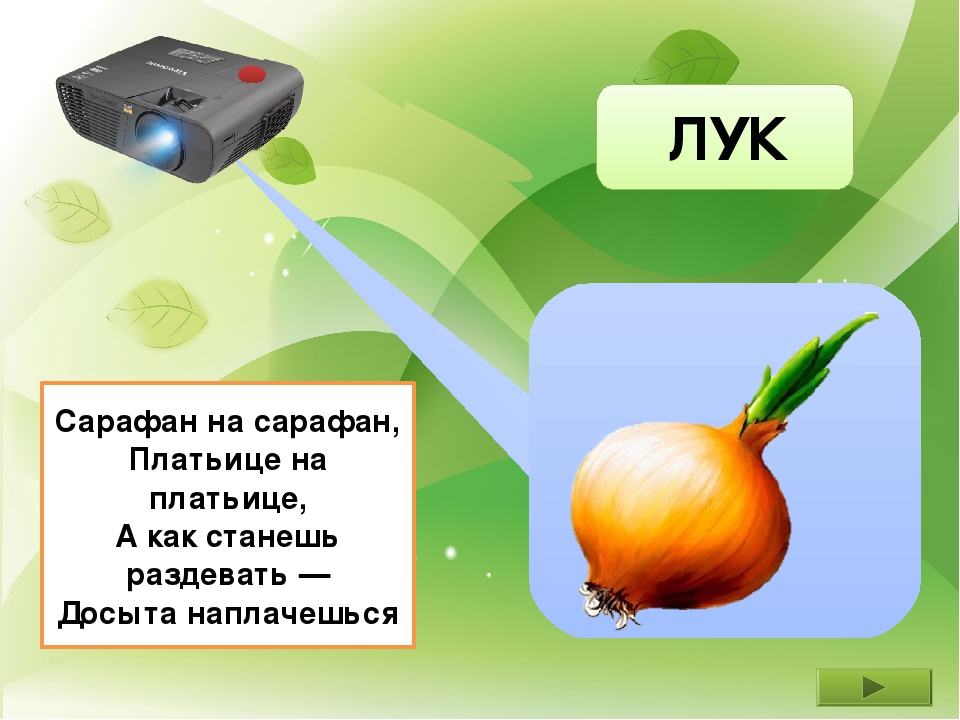 Презентация "Во саду ли в огороде"