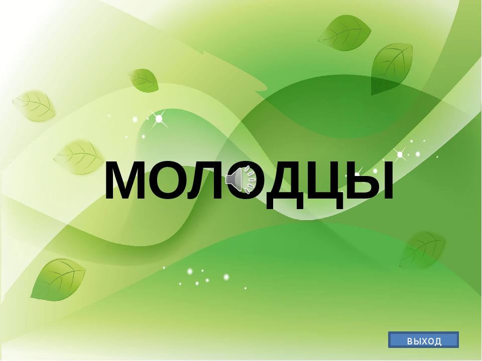 Презентация "Во саду ли в огороде"