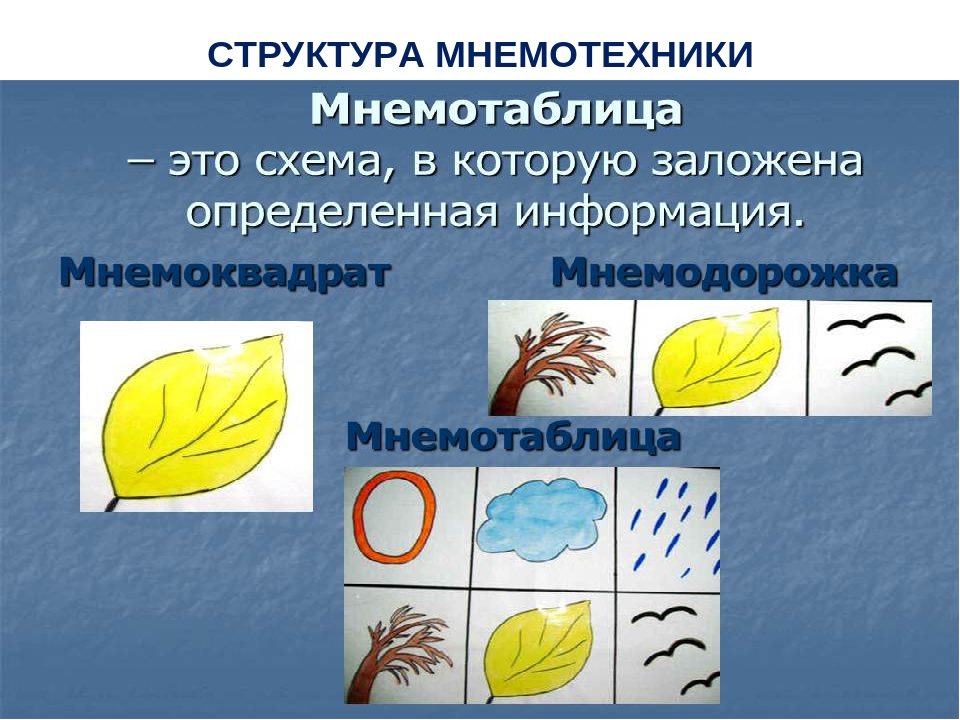 Примеры мнемоквадратов для дошкольников в картинках