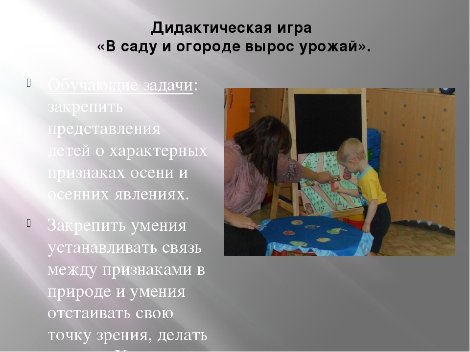 Роль дидактической игры в развитие детей раннего возраста