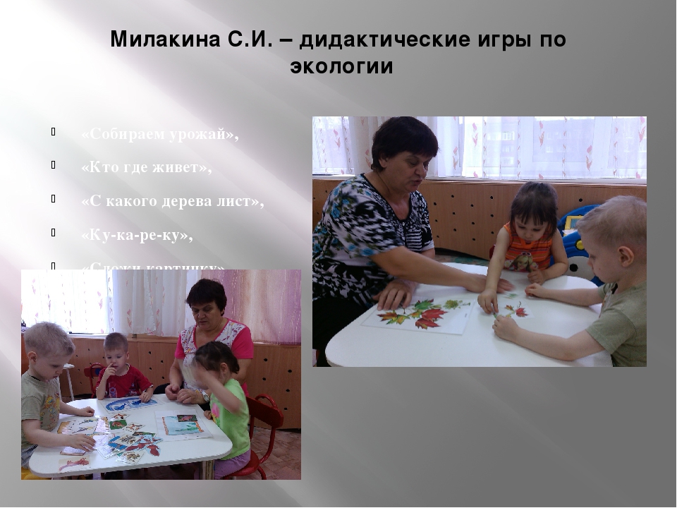 Роль дидактической игры в развитие детей раннего возраста