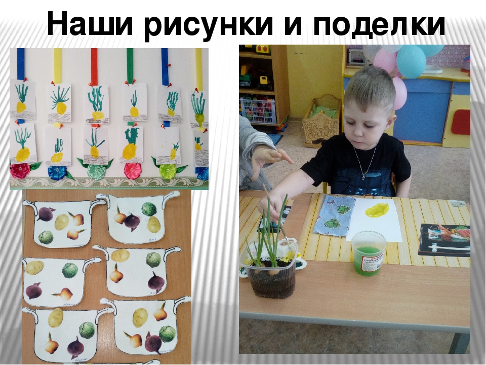 Презентация проекта "Зеленый лук"