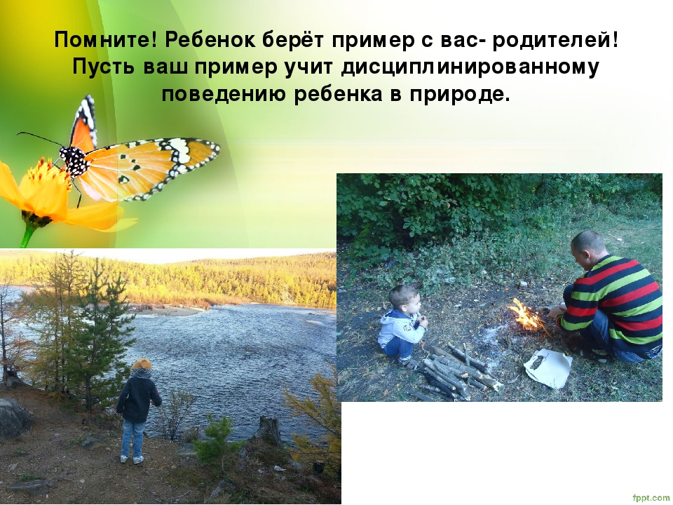 Презентация лето красное и опасное