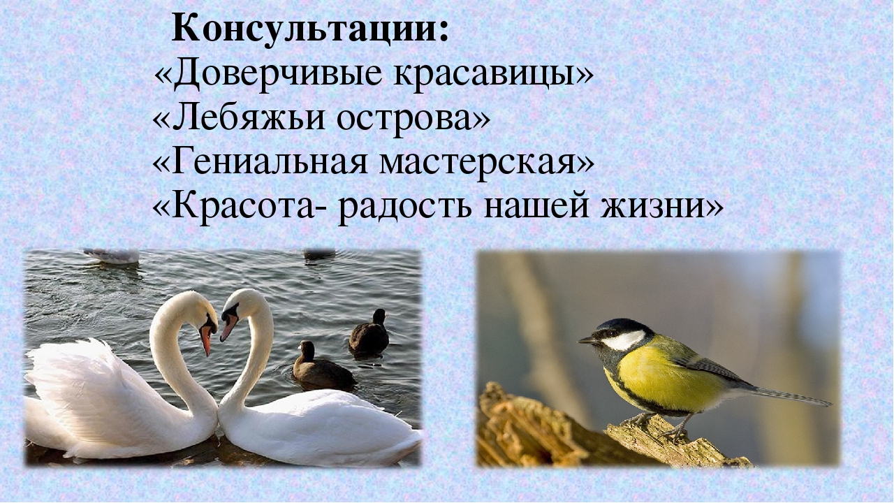 Обобщение педагогического опыта на тему "Ознакомление дошкольников с природой Крыма".