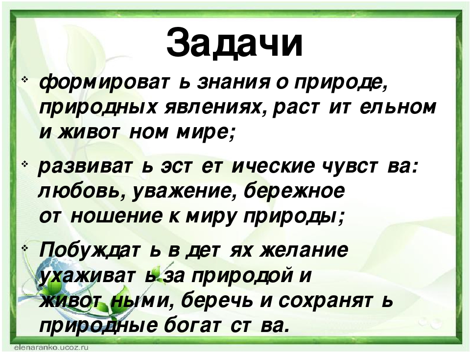 Презентация «Красная книга Тамбовской области»