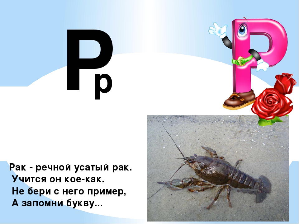 Презентация "Знакомство с буквой Р"