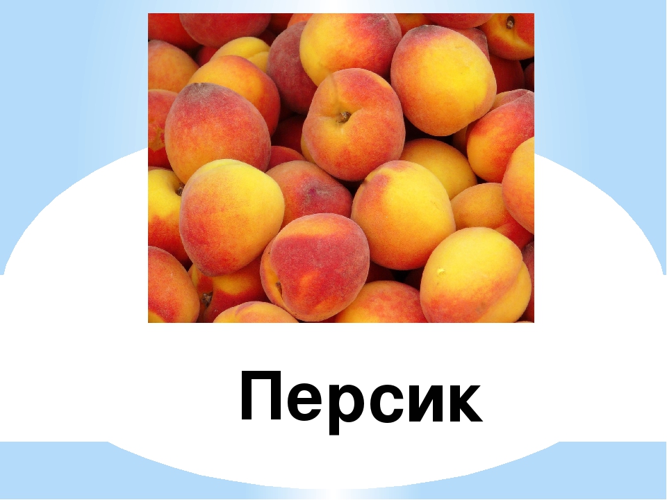 Презентация "Знакомство с буквой Р"