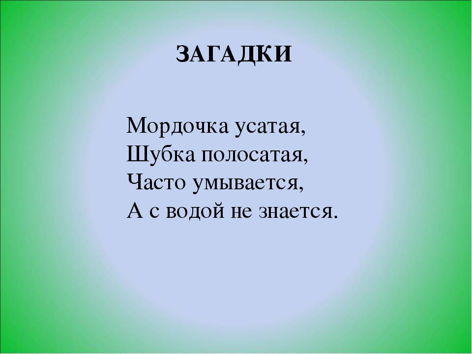 Презентация по ознакомлению с окружающим миром в старшей группе «Домашние животные.