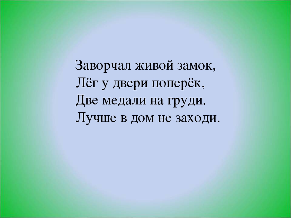 Презентация по ознакомлению с окружающим миром в старшей группе «Домашние животные.