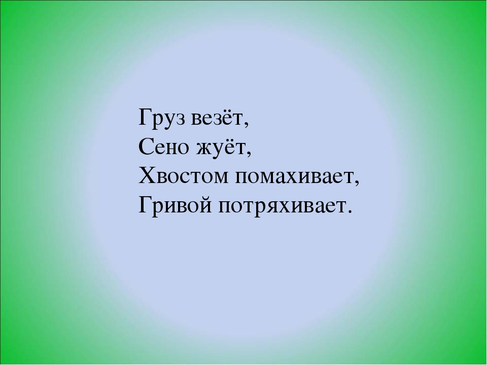 Презентация по ознакомлению с окружающим миром в старшей группе «Домашние животные.