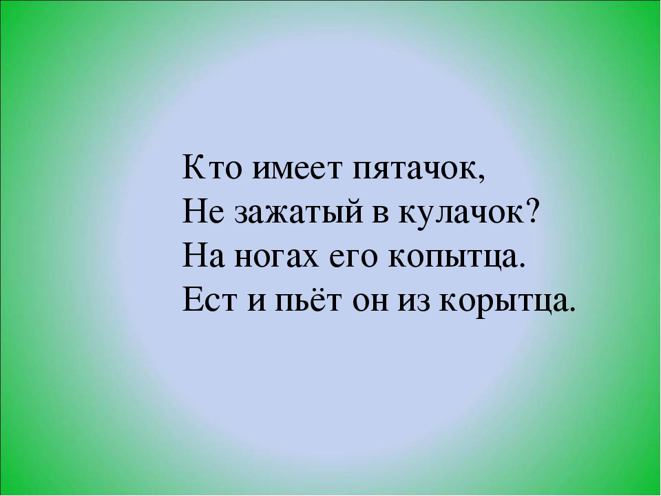 Презентация по ознакомлению с окружающим миром в старшей группе «Домашние животные.