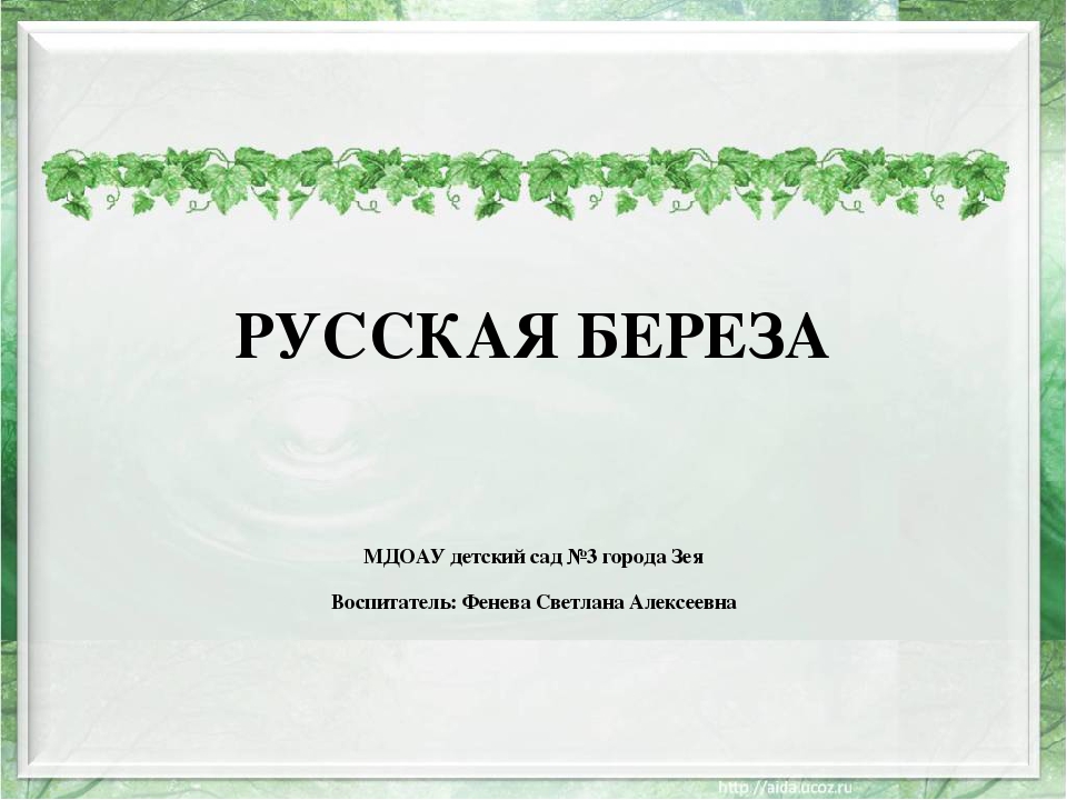 Презентация "Русская береза" познавательное развитие