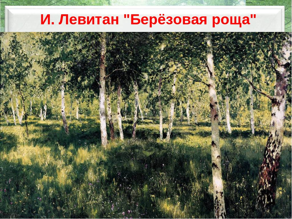 Презентация "Русская береза" познавательное развитие