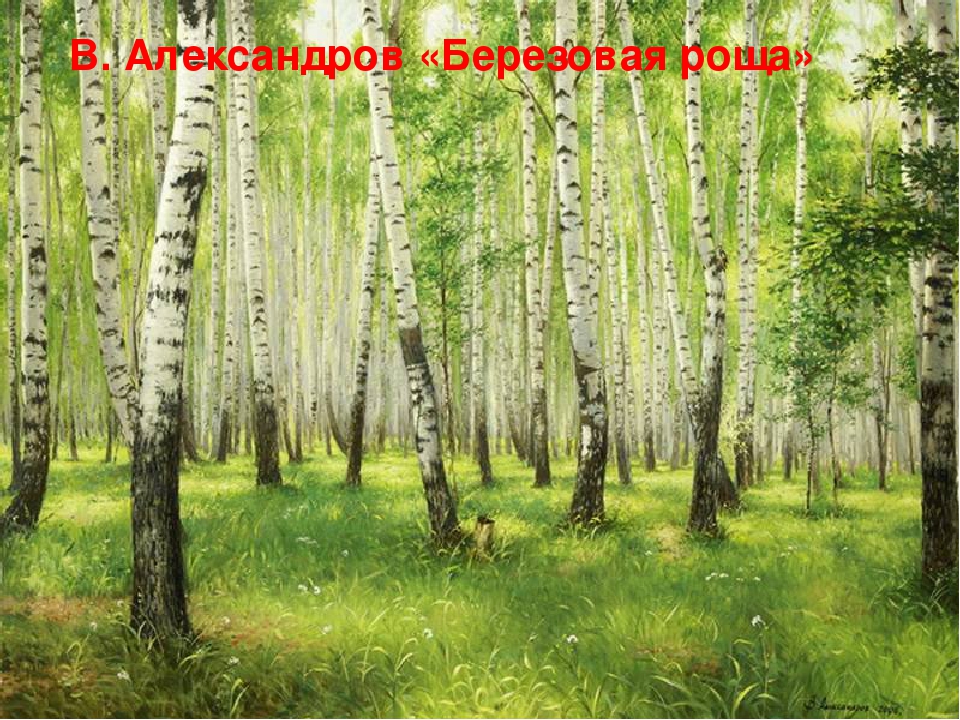 Презентация "Русская береза" познавательное развитие